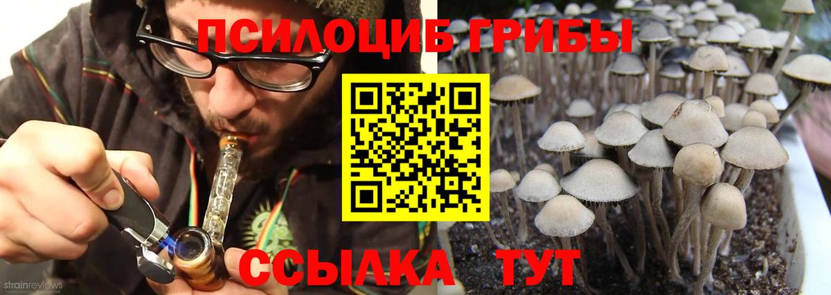 Псилоцибиновые грибы ЛСД  Галлюциногенные грибы Magic Shrooms  Вход с VPN  Когалым 